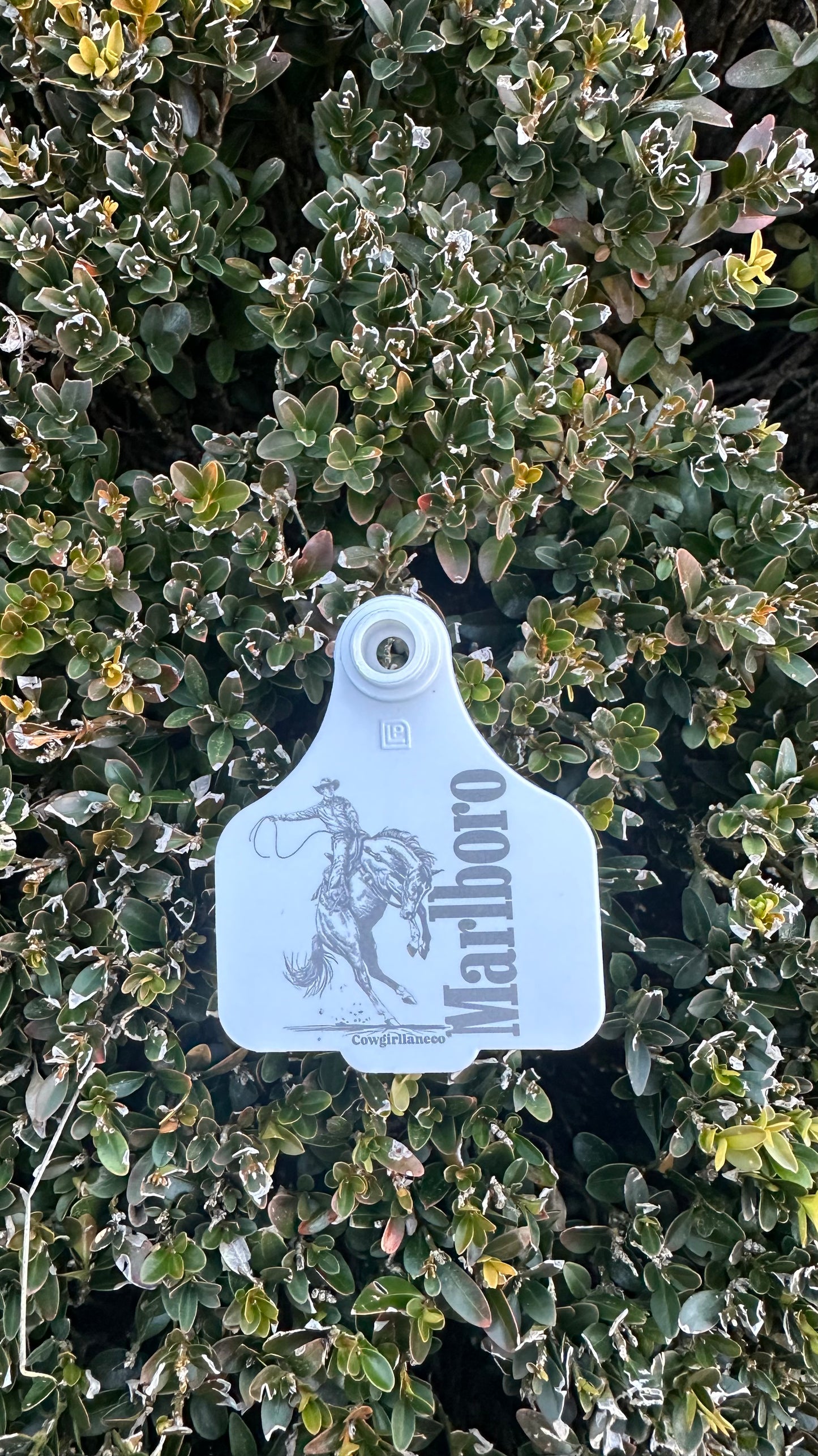 Marlboro Cattle Tag Double sided- White