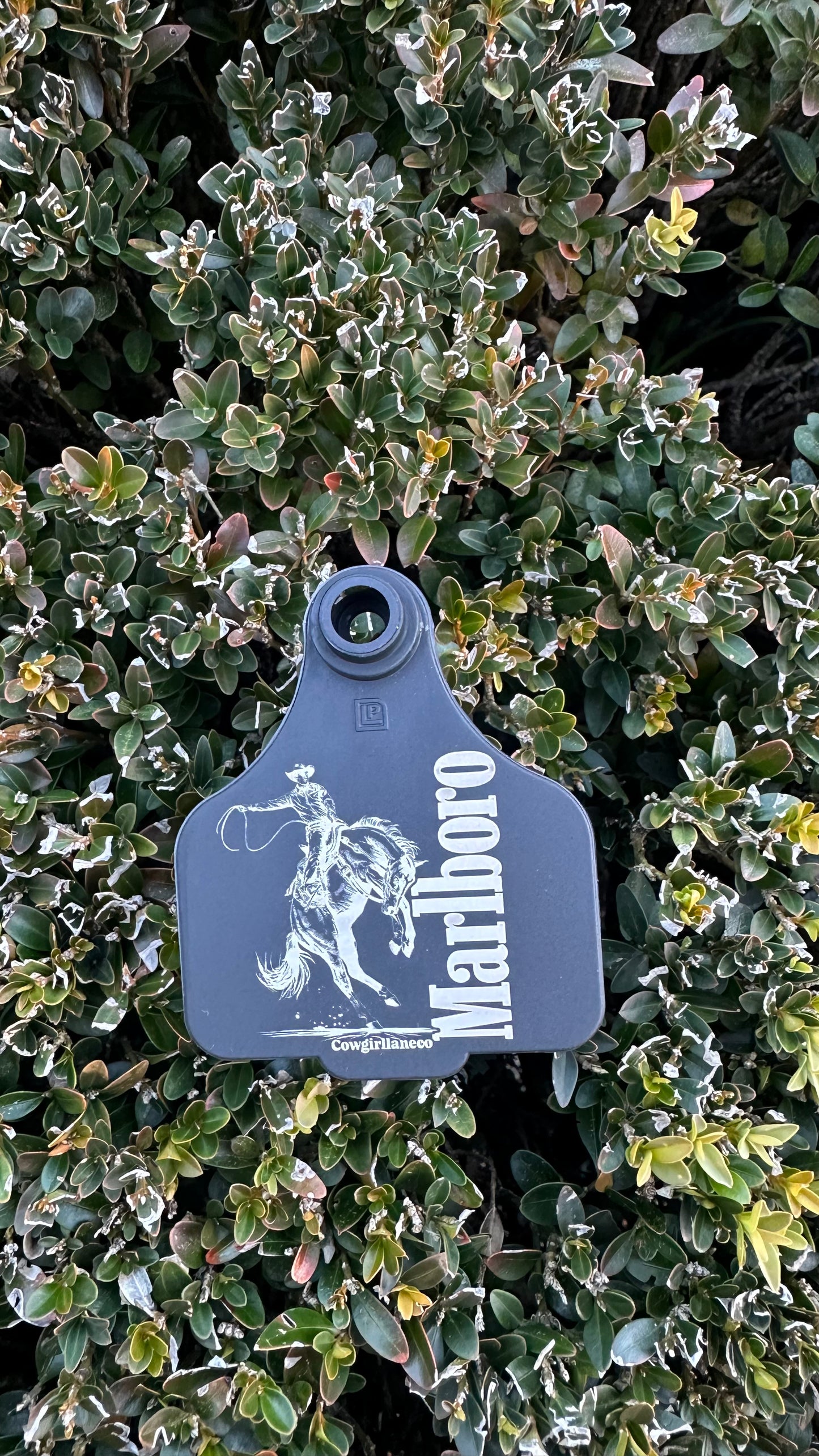 Marlboro Cattle Tag Double sided- Black