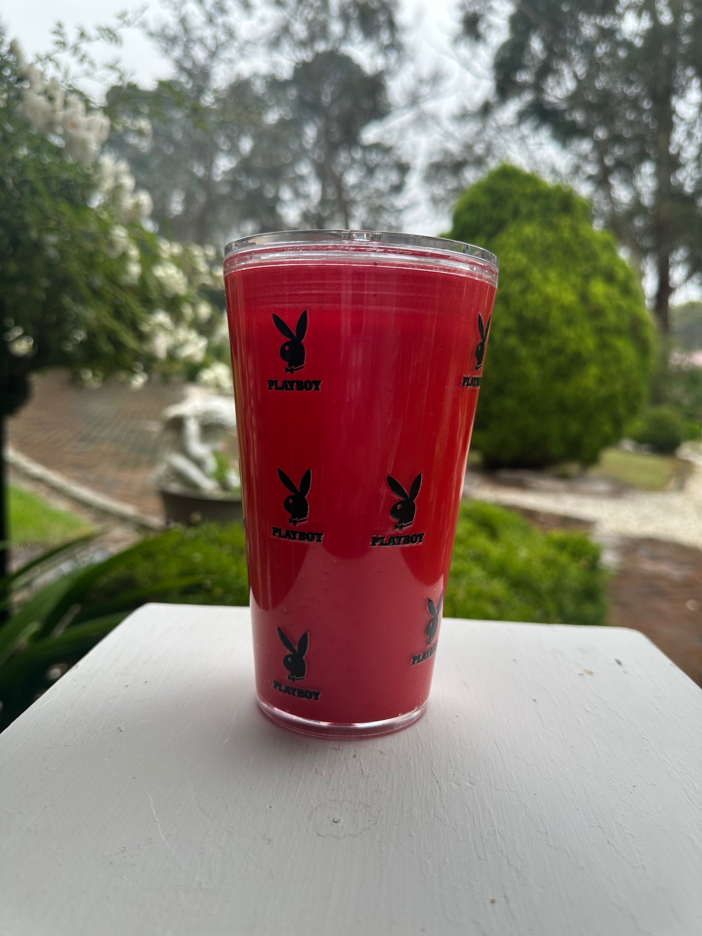playboy tumbler straw included