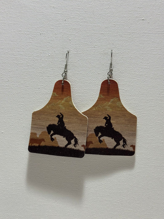 Earrings