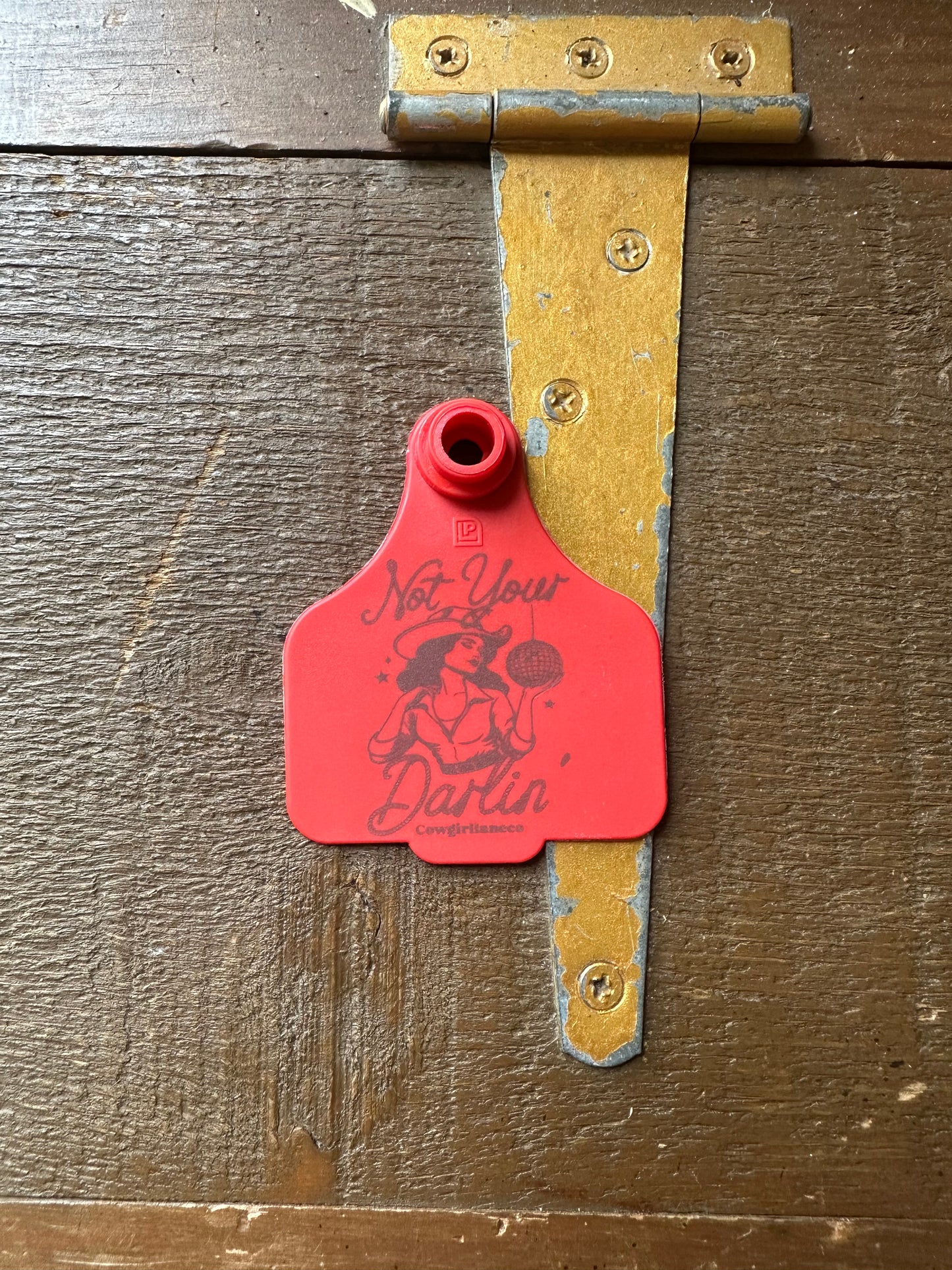 Cattle tag