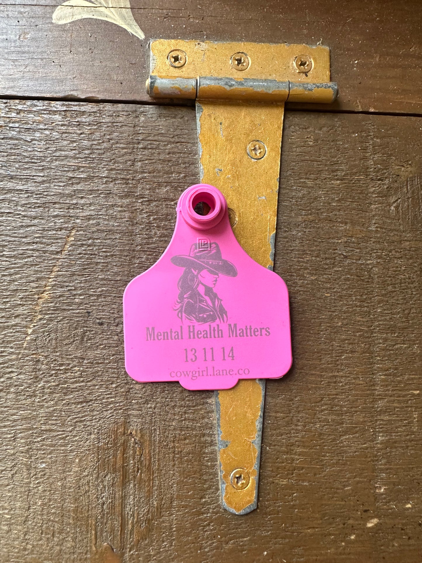 Cattle tag