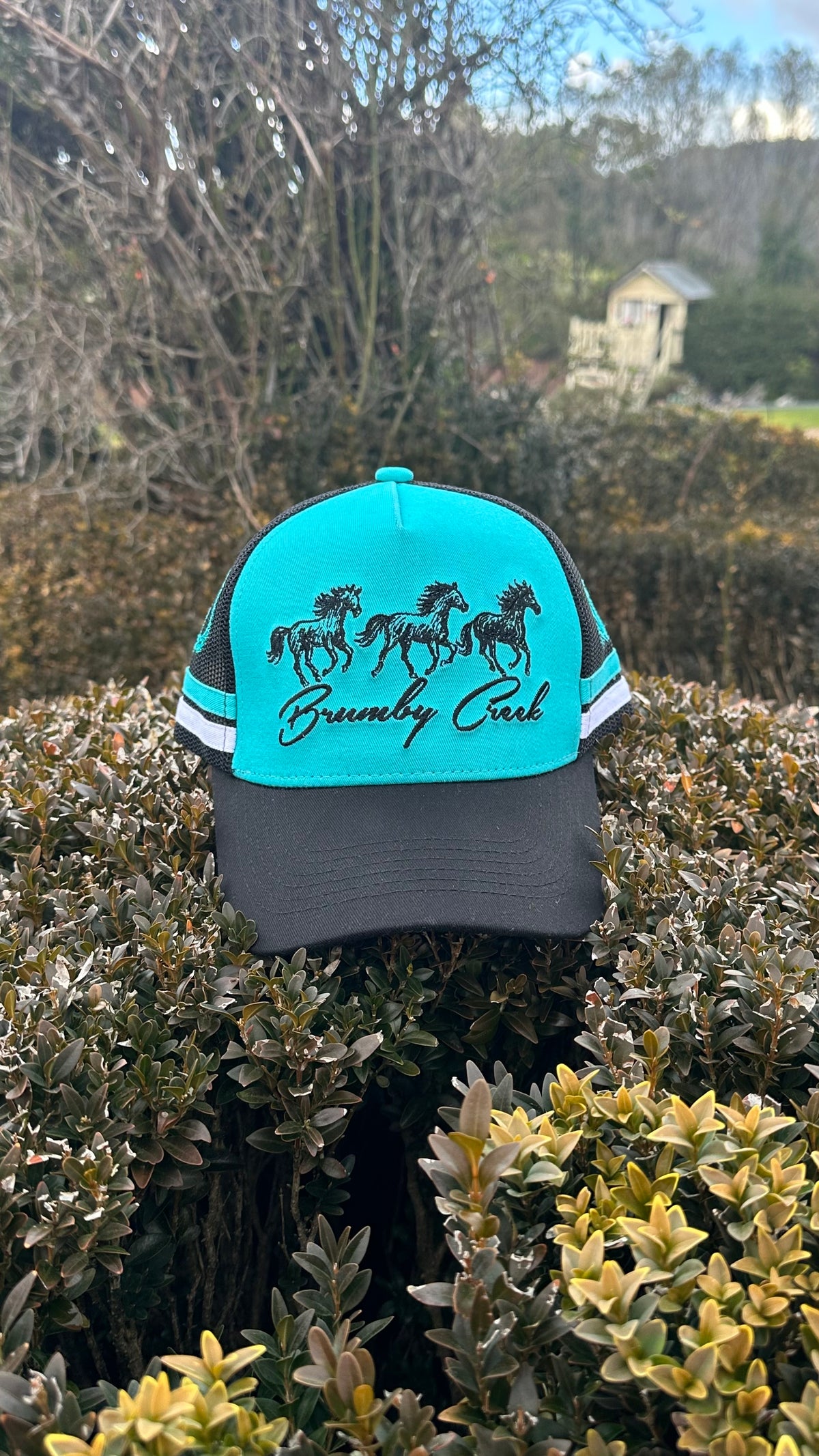 Brumby Creek Trucker Cap - Blue